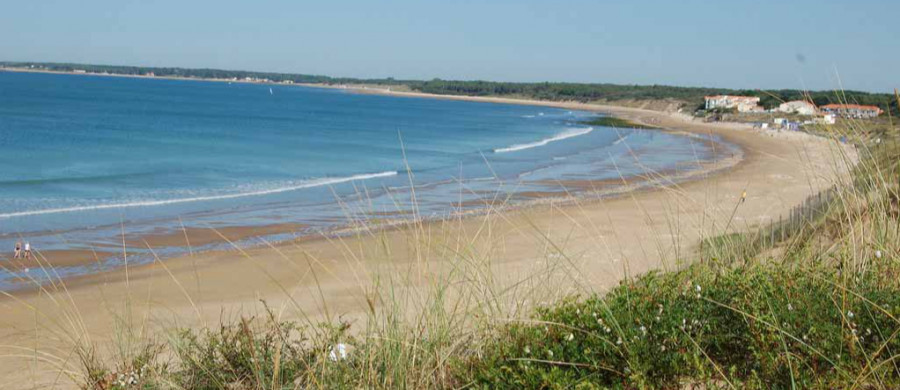 Image relative à l'annonce