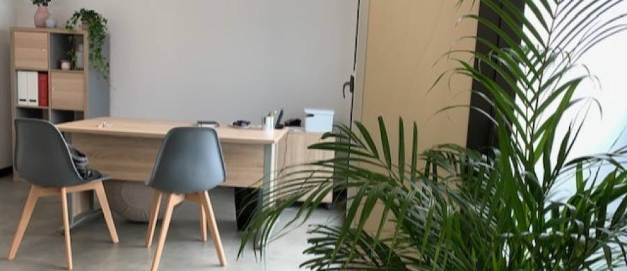 Image relative à l'annonce