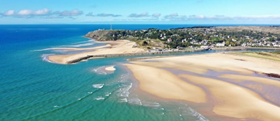 Image relative à l'annonce