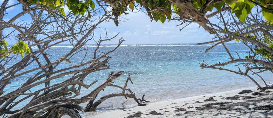 Image relative à l'annonce