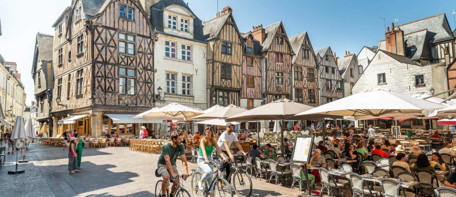 Image relative à l'annonce