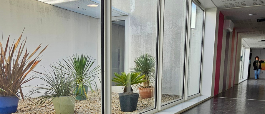 Image relative à l'annonce