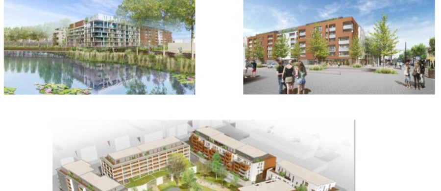 Image relative à l'annonce