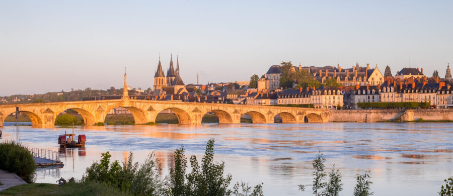 Image relative à l'annonce