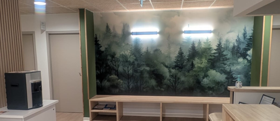 Image relative à l'annonce