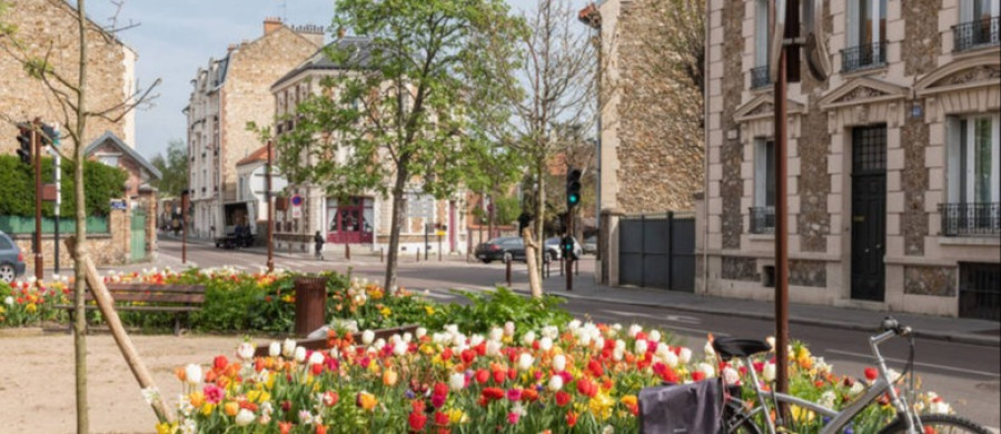 Image relative à l'annonce