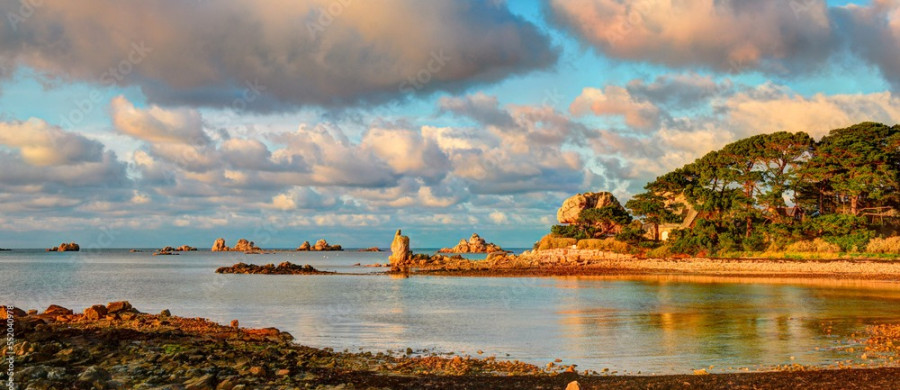 Image relative à l'annonce