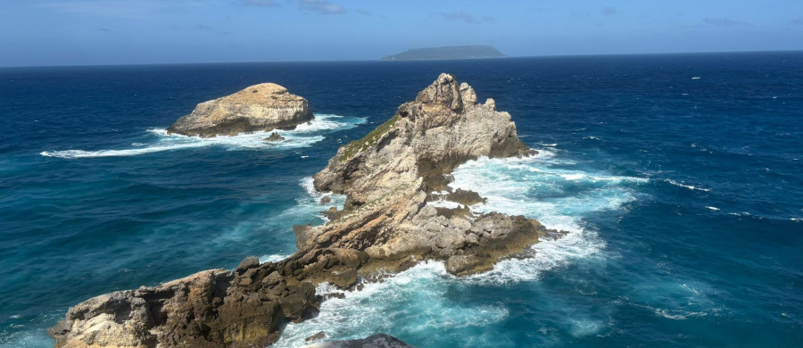 Image relative à l'annonce