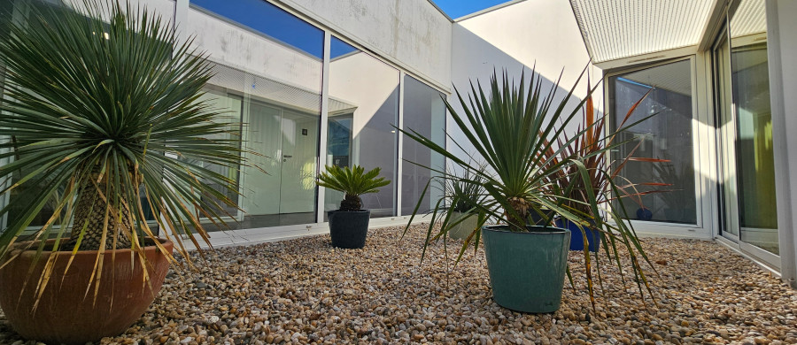 Image relative à l'annonce