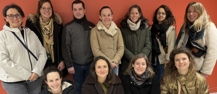 Image relative à l'annonce