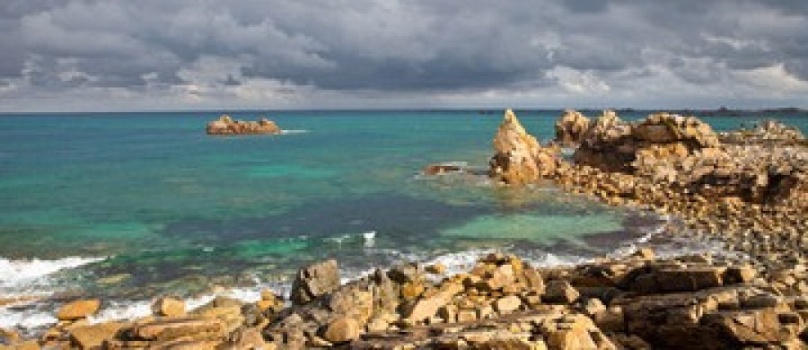 Image relative à l'annonce