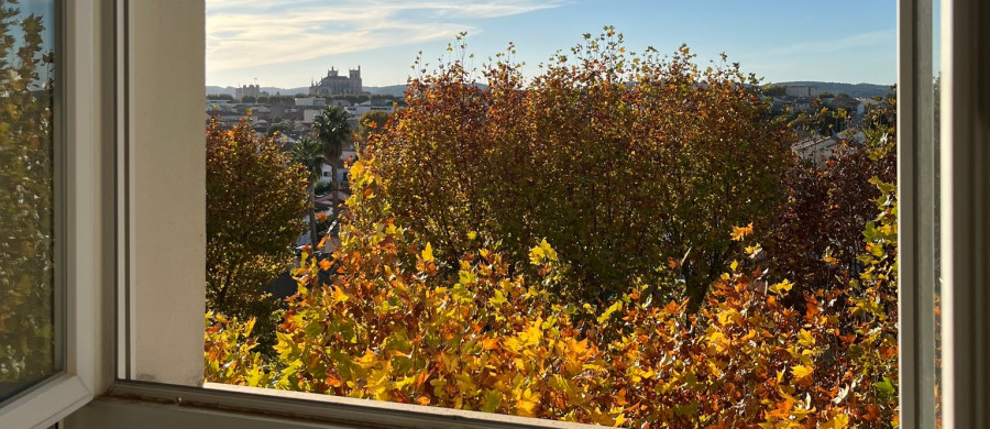 Image relative à l'annonce