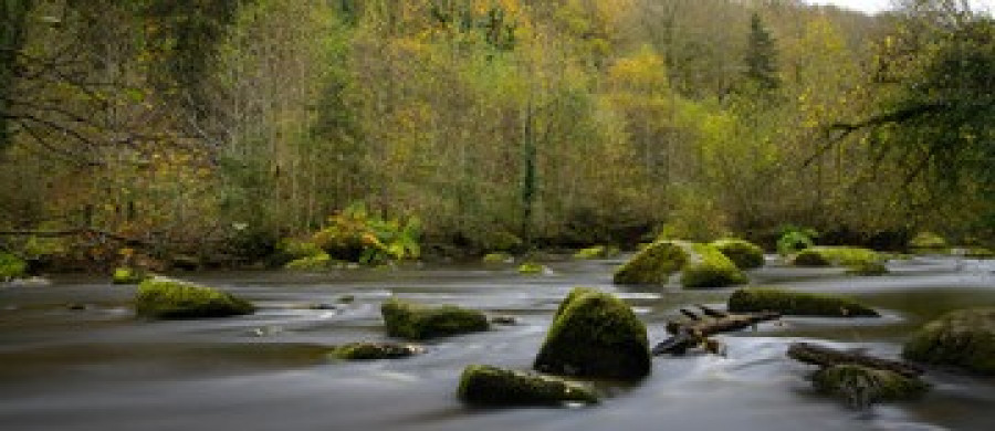 Image relative à l'annonce