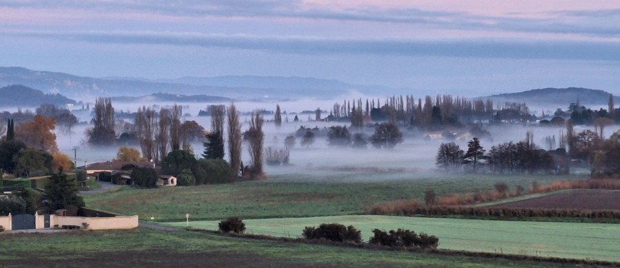 Image relative à l'annonce