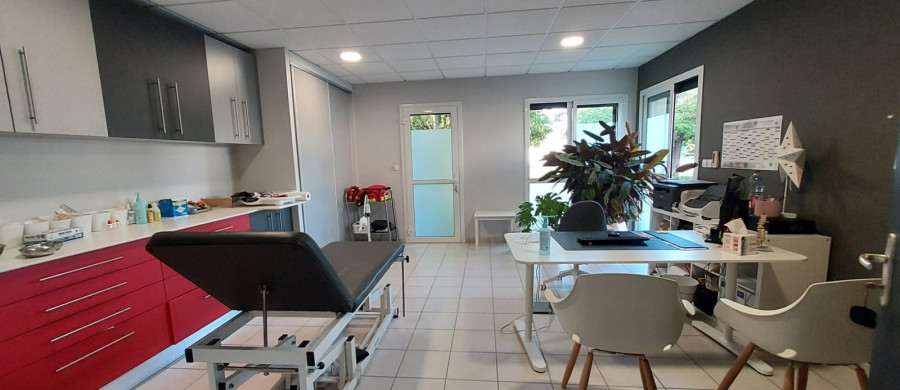 Image relative à l'annonce