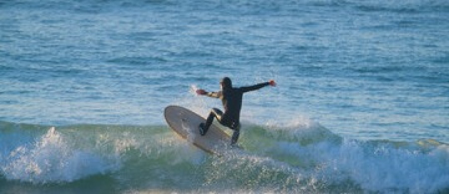 Image relative à l'annonce