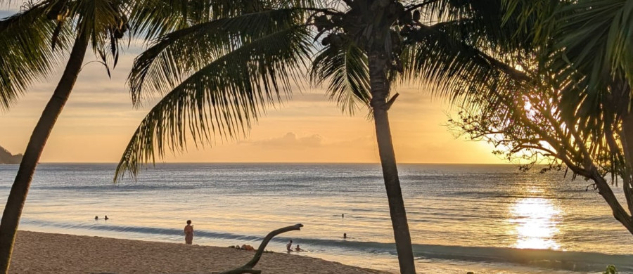 Image relative à l'annonce