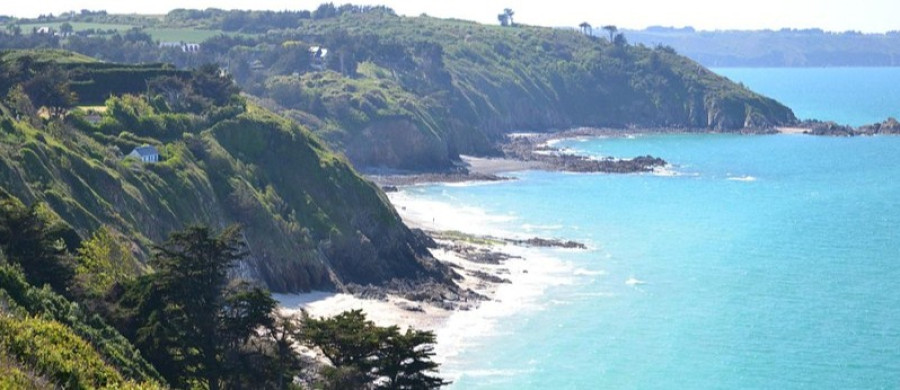 Image relative à l'annonce