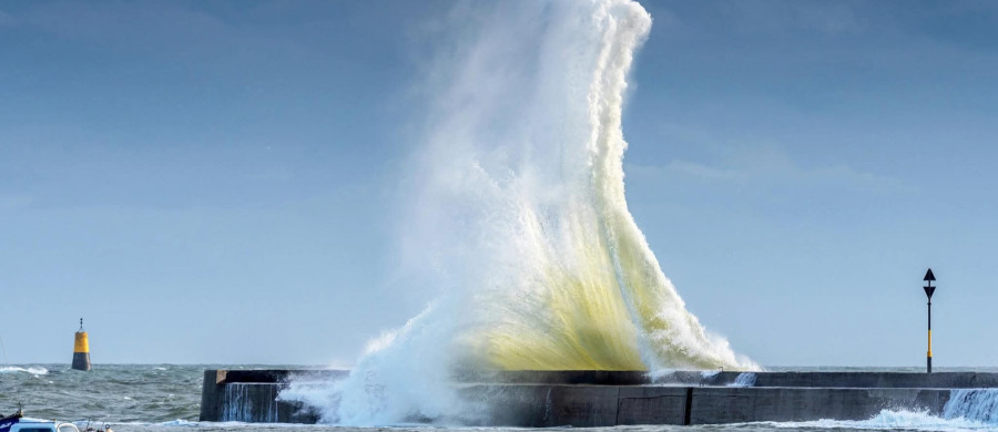 Image relative à l'annonce