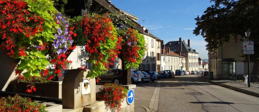 Image relative à l'annonce