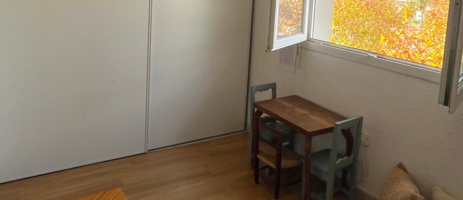 Image relative à l'annonce