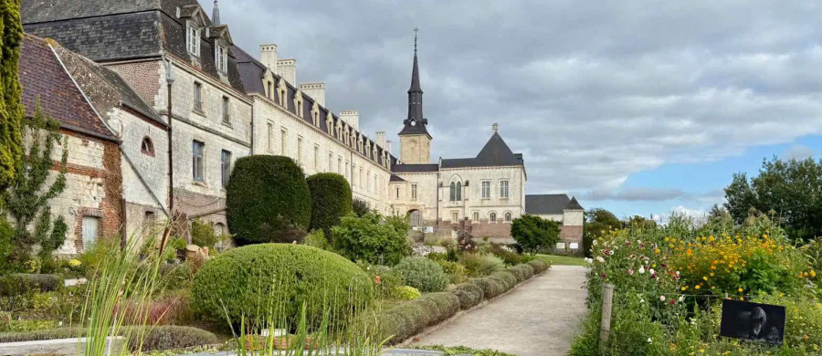 Image relative à l'annonce