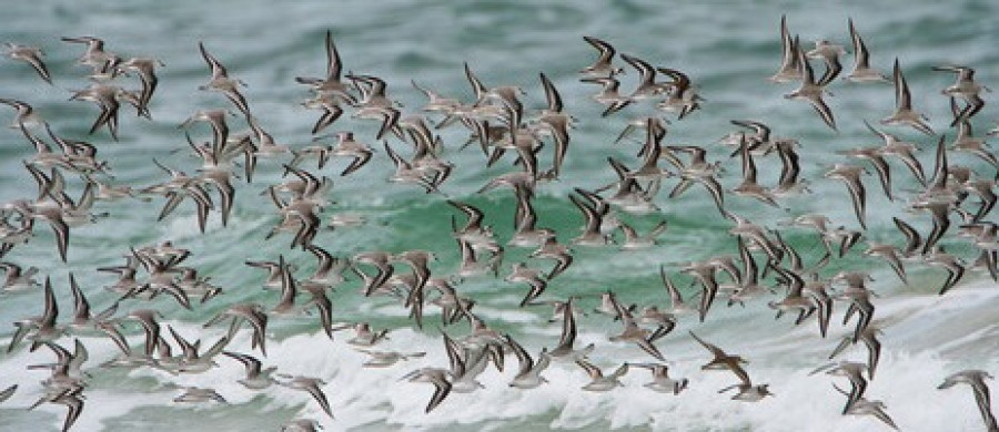 Image relative à l'annonce