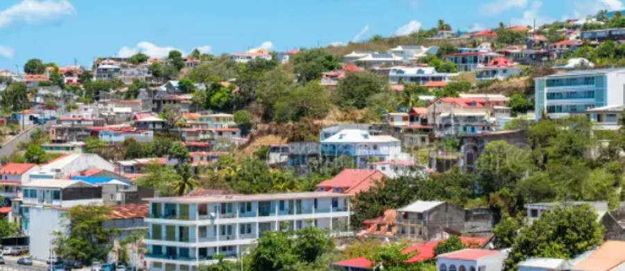 Image relative à l'annonce