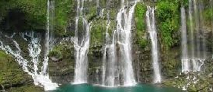 Image relative à l'annonce